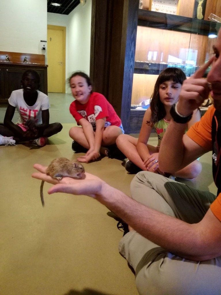 IMG-20170525-WA0014 (Medium)