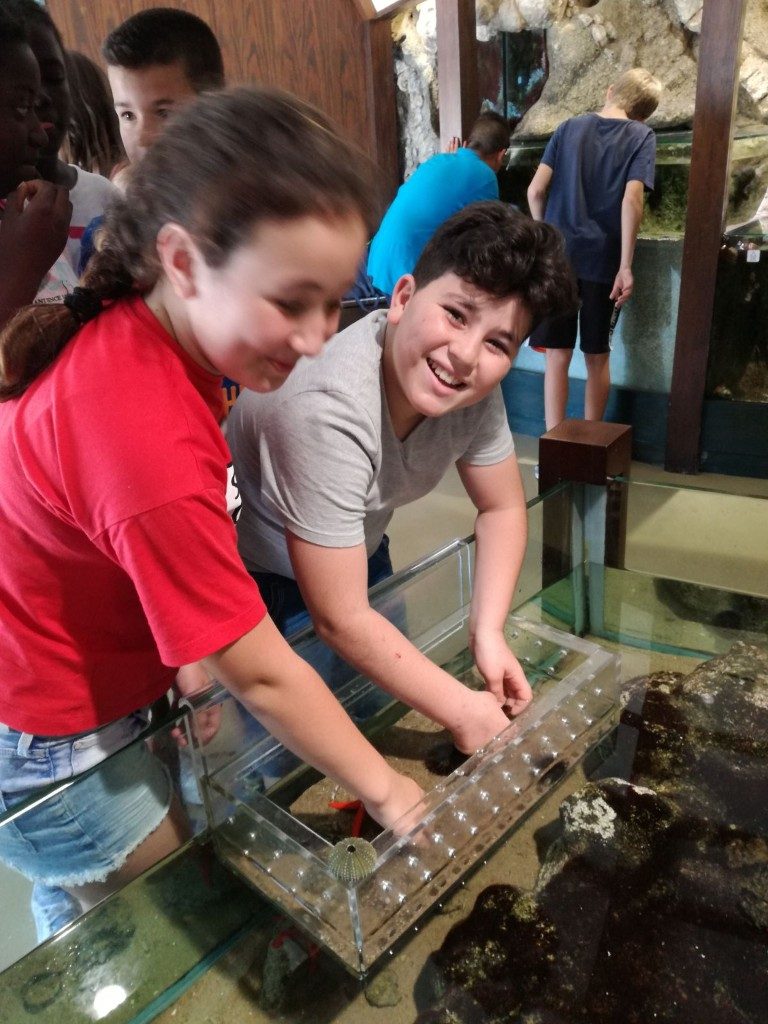 IMG-20170525-WA0015 (Medium)