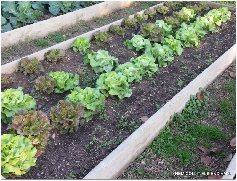 02-3-20161128_151341