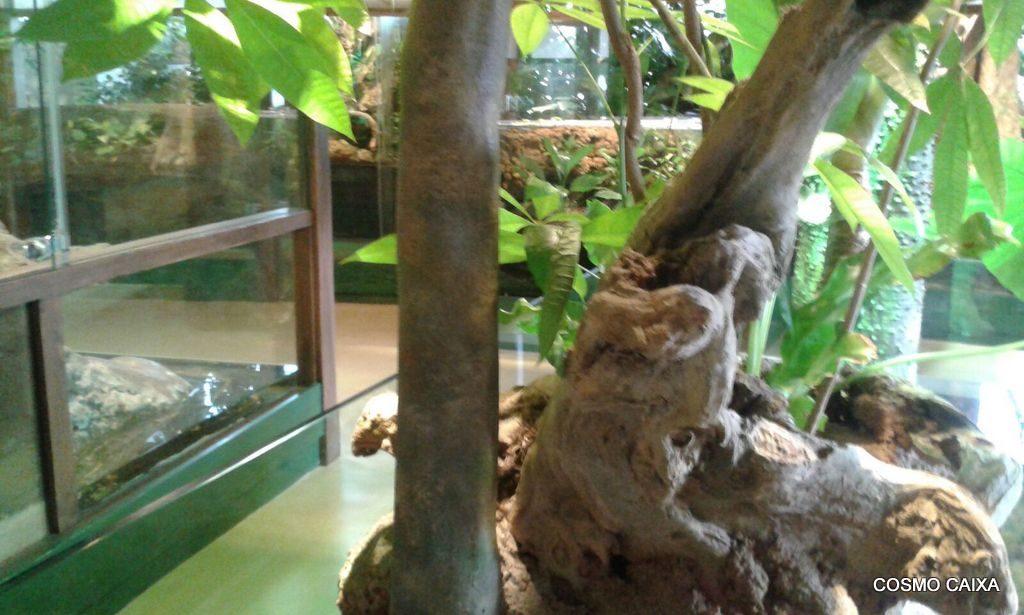 15-15-17-img-20161122-wa0027