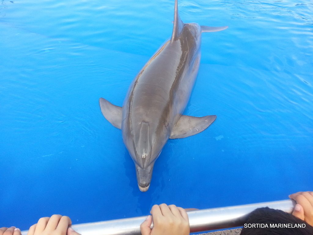 006-019-20170601_104627