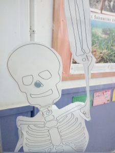 Esquelets