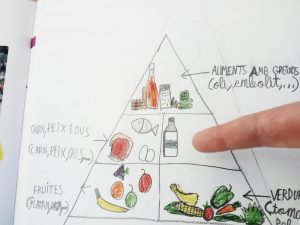 A la classe del bosquet hem dibuixat una piràmide dels aliments