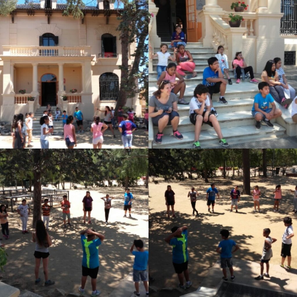 IMG_20170612_123912 (2)