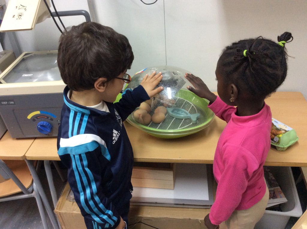 LA INCUBADORA ESTÀ CALENTA