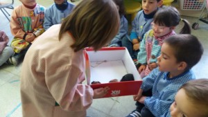 20160314_092152_1600x900