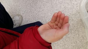 20170201_110315_4128x2322