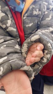 20170201_110408_2322x4128