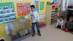 20170317_150555_4128x2322