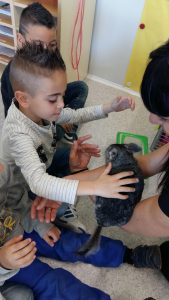 20170317_151405_2322x4128