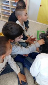 20170317_151411_2322x4128