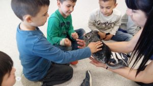 20170317_151427_4128x2322