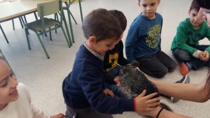 20170317_151438_4128x2322