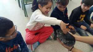 20170317_151441_4128x2322