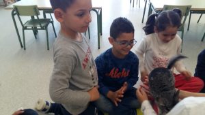 20170317_151451_4128x2322