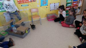 20170317_151612_4128x2322