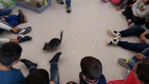 20170317_151614_4128x2322