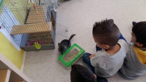 20170317_151639_4128x2322