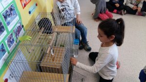 20170317_151952_4128x2322