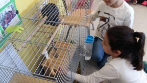 20170317_152003_4128x2322