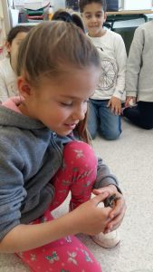 20170317_153016_2322x4128