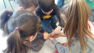 20170317_153104_4128x2322