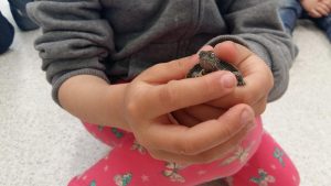 20170317_153419_4128x2322