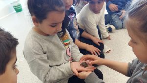 20170317_153511_4128x2322