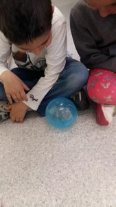 20170317_154940_2322x4128