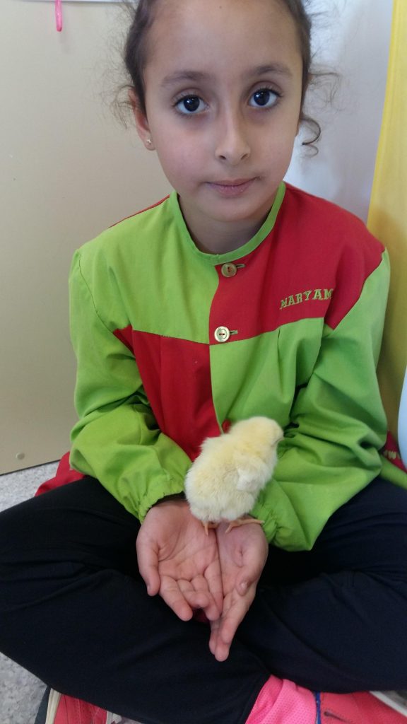 20170519_101135_2322x4128