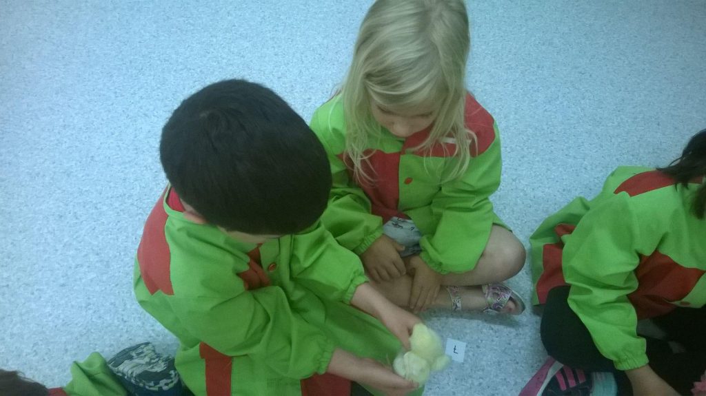 IMG-20170523-WA0019_1600x898