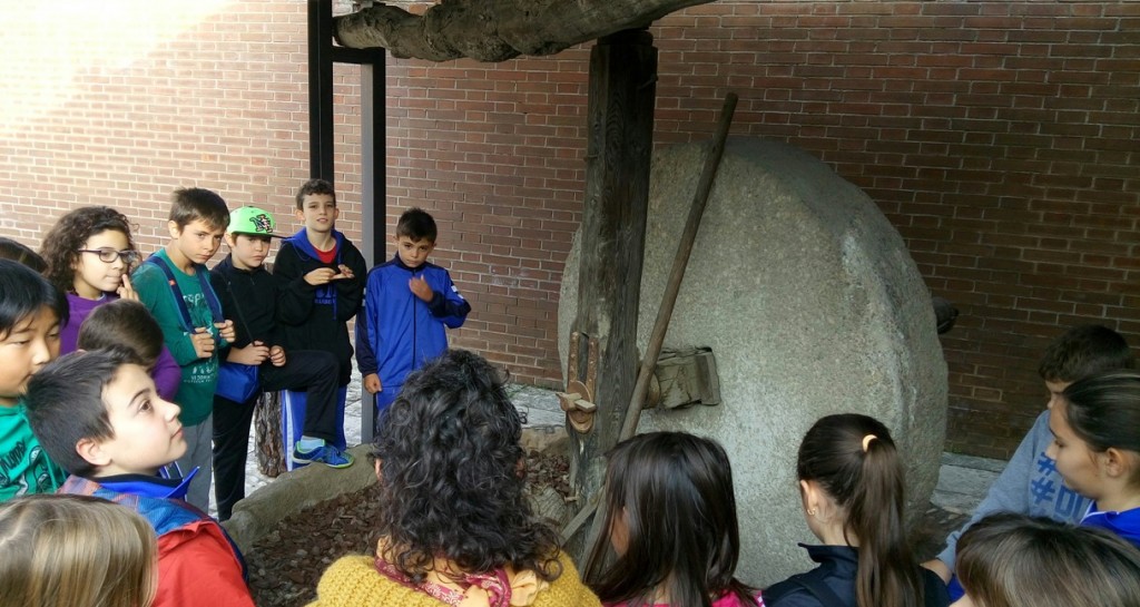 IMG_20151110_150556_063