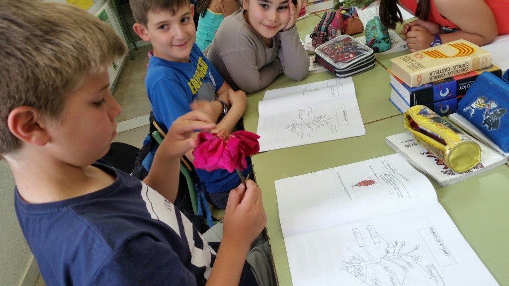 20160526_152131_resized