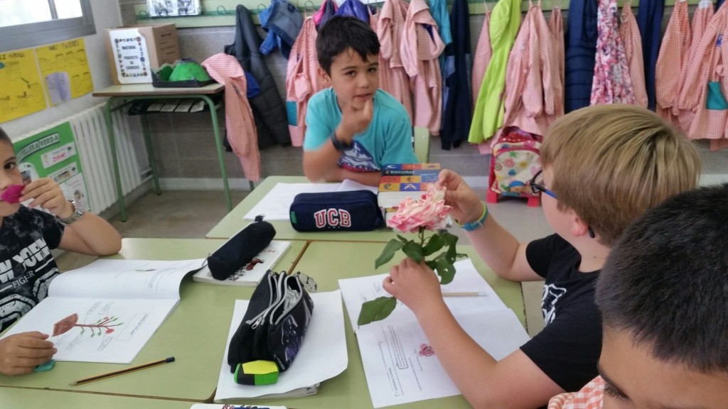 20160526_152231_resized