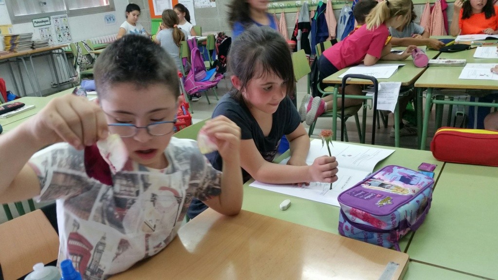 20160526_162250_resized