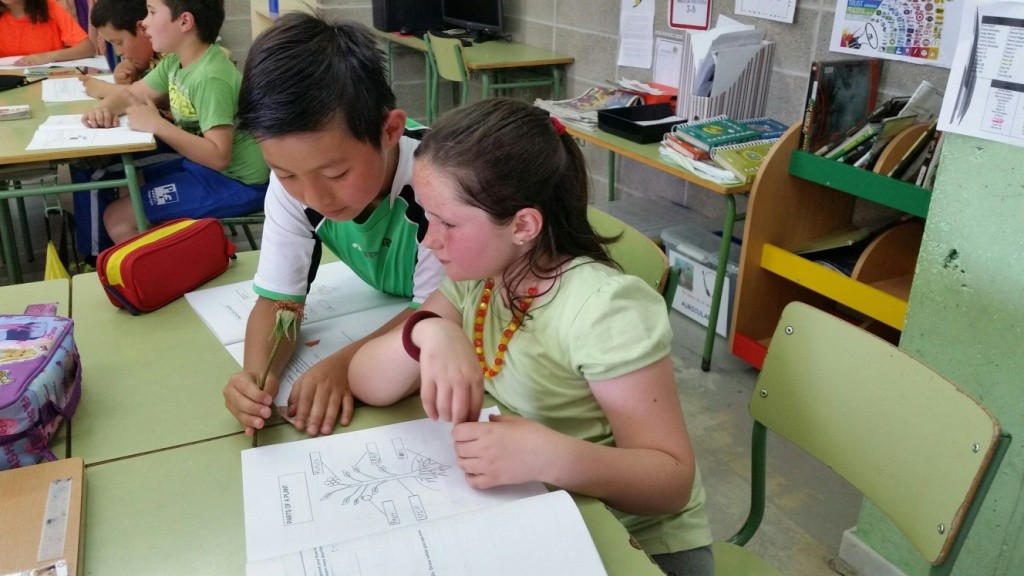 20160526_162304_resized