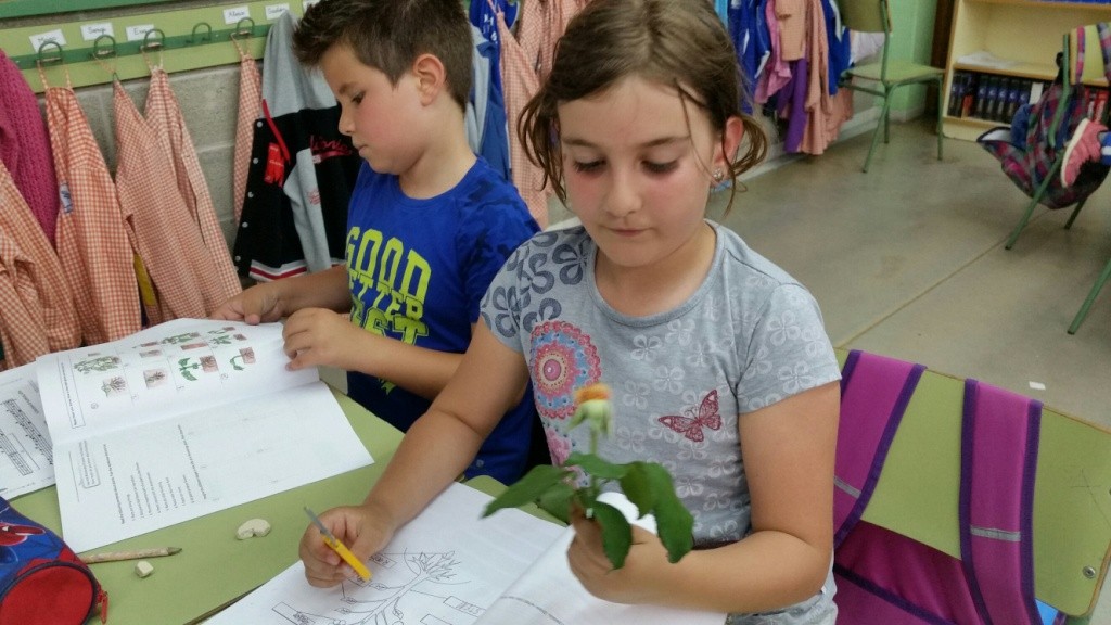 20160526_162325_resized