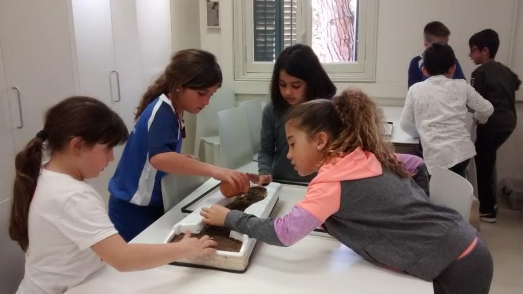 IMG_20170329_131338681