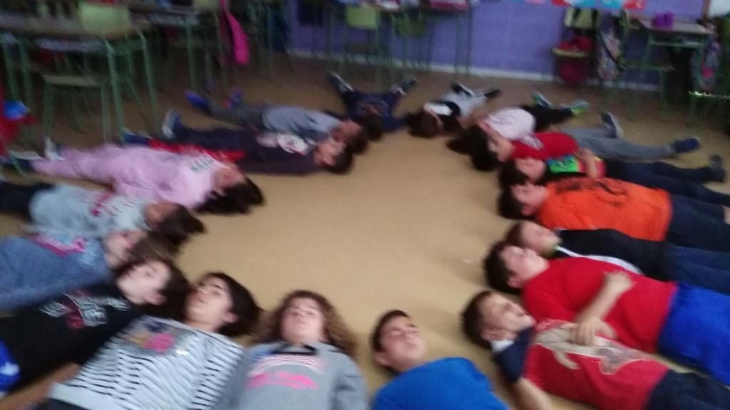 meditació sr arbre 2