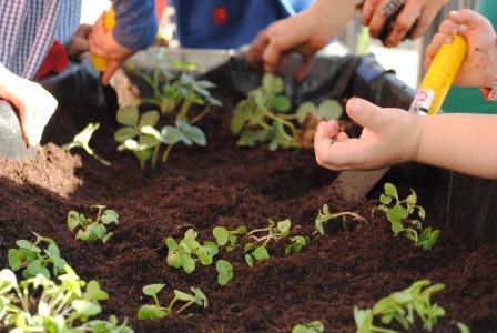 ????????????????????????????????????