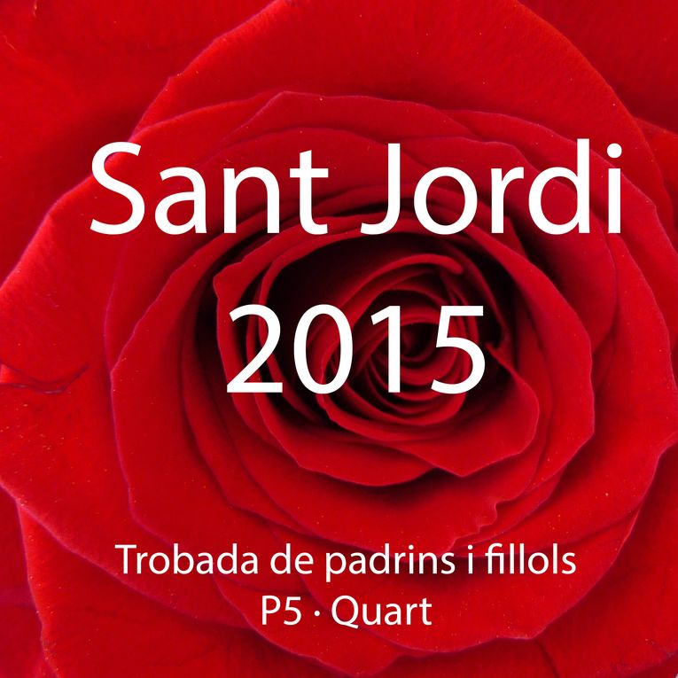 SJordi2015-P5+4t