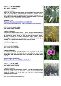 plantes-remeires-ermita_2