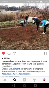 screenshot_2017-01-31-10-03-19