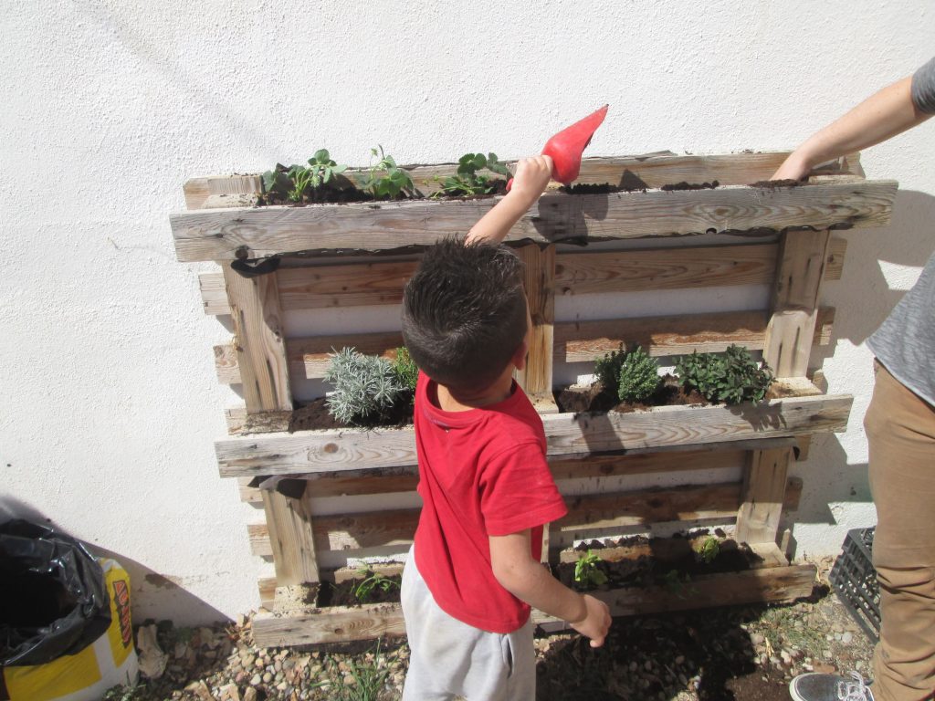 IMG_1960-iloveimg-compressed