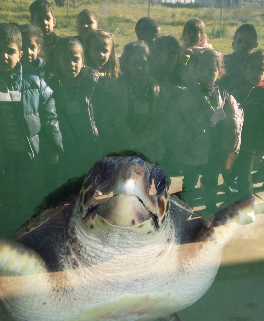 20151126_120110[1]-001