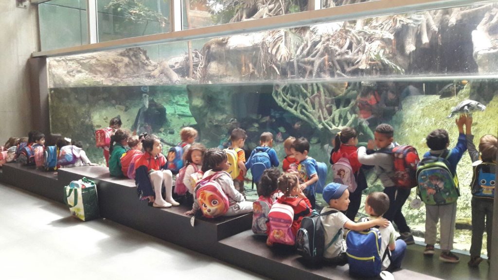 WhatsApp Image 2017-05-17 at 14.51.21