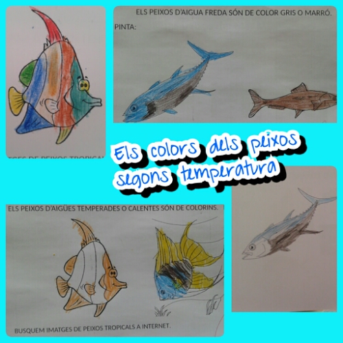 PhotoGrid_1464351949782.jpg image