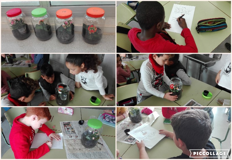 collage-2017-03-10-09_39_01