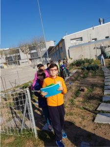 20170404_092736 (Small)