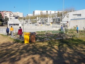 20170404_093650 (Small)